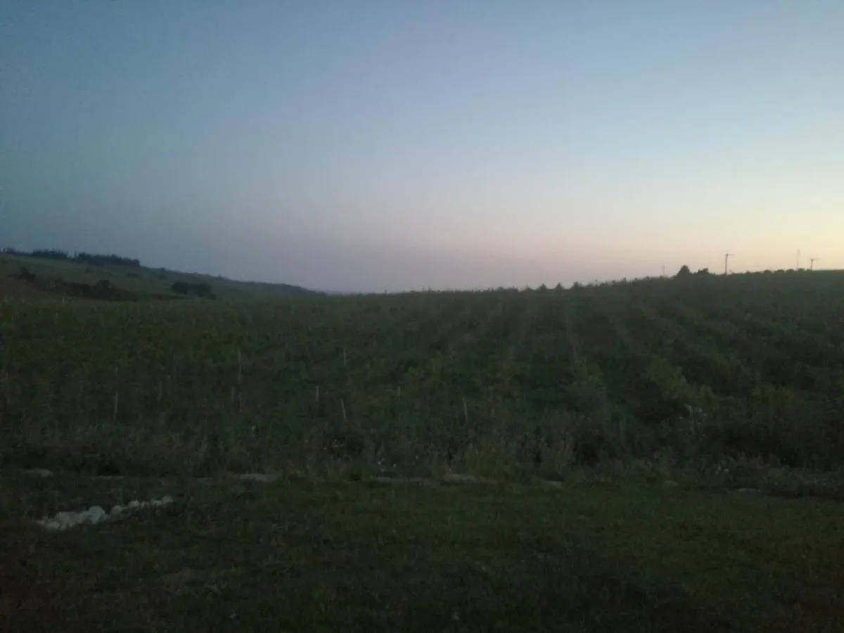Casa Chardonnay Villa Menfi Italy